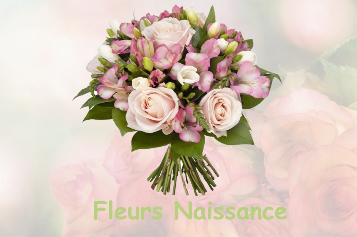 fleurs naissance SAINTE-MARIE-DE-VATIMESNIL